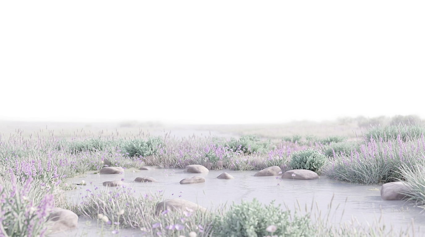 Livex Footer Background